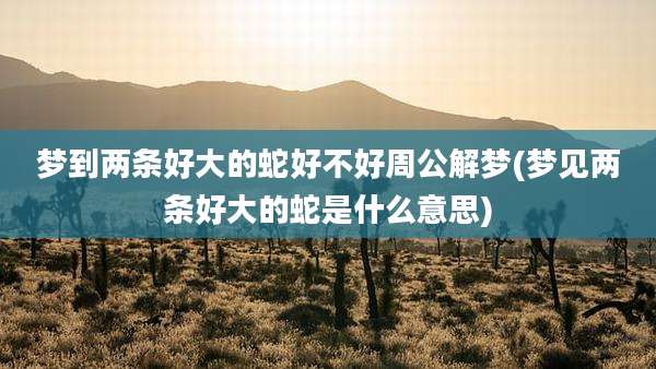 梦到两条好大的蛇好不好周公解梦(梦见两条好大的蛇是什么意思)