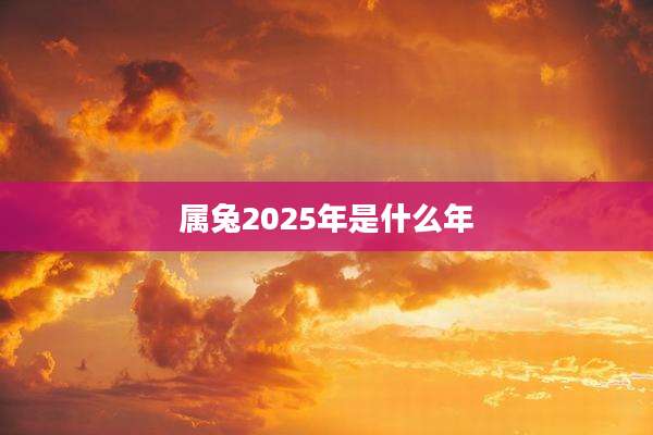 属兔2025年是什么年