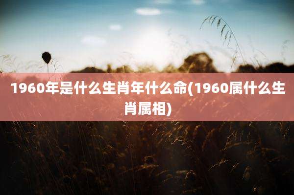 1960年是什么生肖年什么命(1960属什么生肖属相)