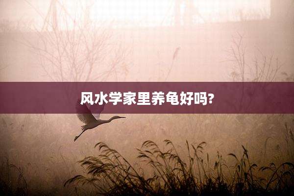 风水学家里养龟好吗?