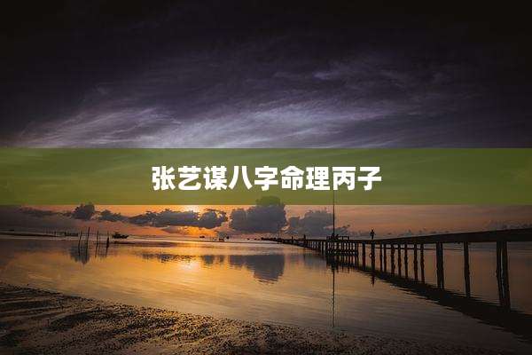 张艺谋八字命理丙子