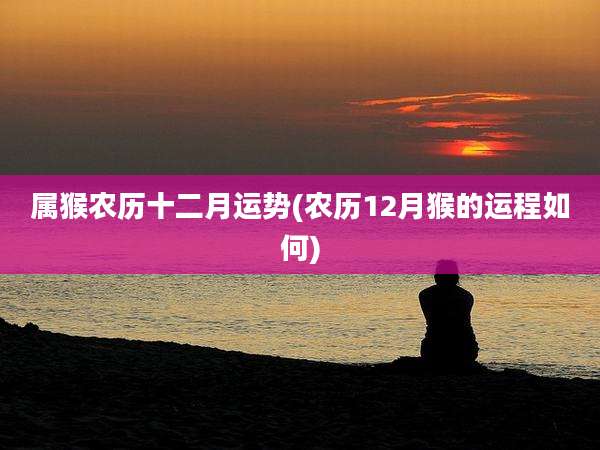 属猴农历十二月运势(农历12月猴的运程如何)