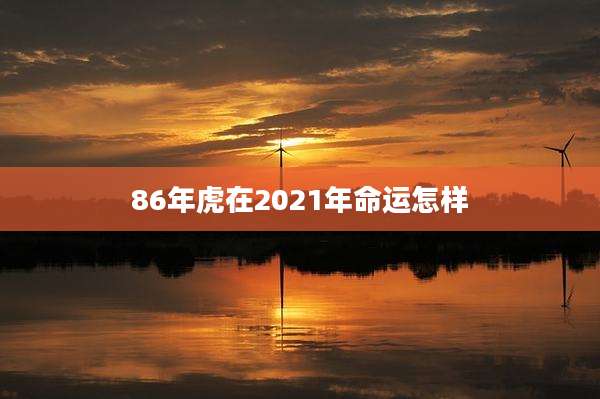 86年虎在2021年命运怎样