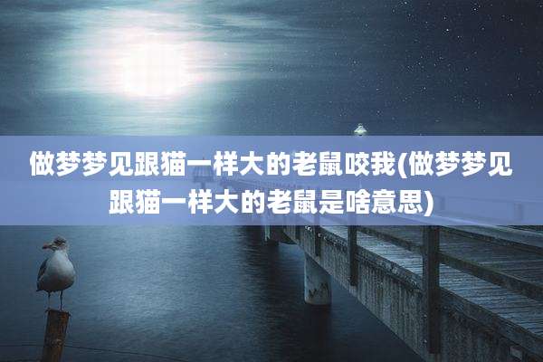 做梦梦见跟猫一样大的老鼠咬我(做梦梦见跟猫一样大的老鼠是啥意思)