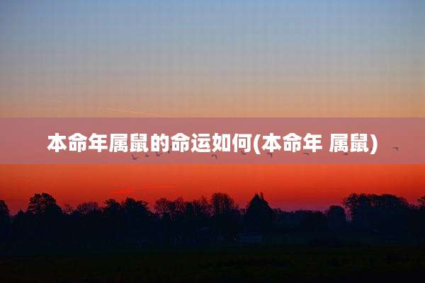 本命年属鼠的命运如何(本命年 属鼠)