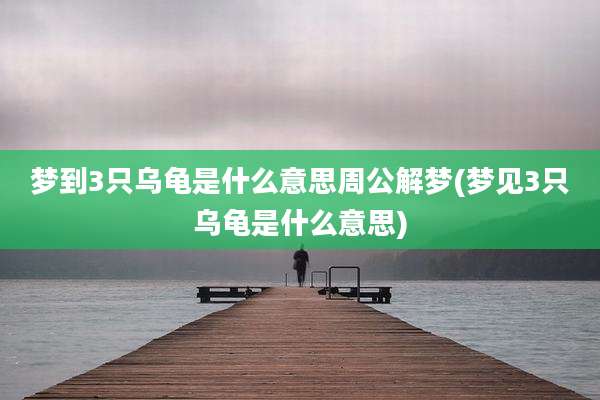 梦到3只乌龟是什么意思周公解梦(梦见3只乌龟是什么意思)