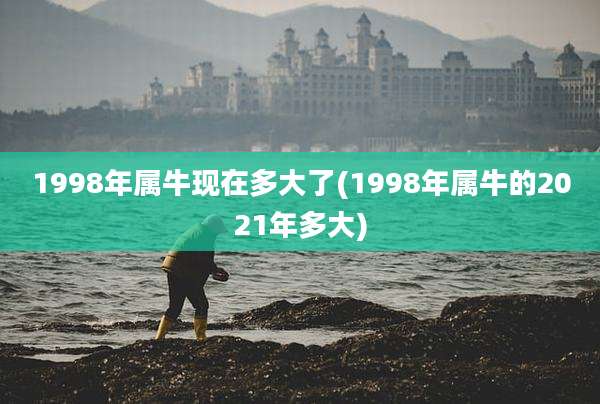 1998年属牛现在多大了(1998年属牛的2021年多大)