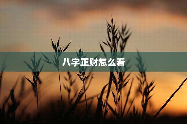八字正财怎么看