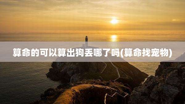 算命的可以算出狗丢哪了吗(算命找宠物)