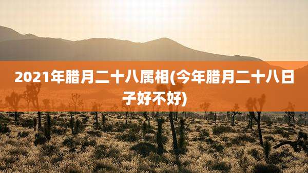 2021年腊月二十八属相(今年腊月二十八日子好不好)