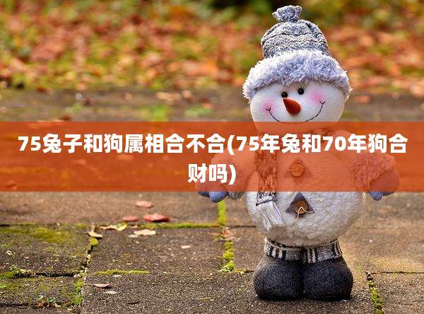 75兔子和狗属相合不合(75年兔和70年狗合财吗)