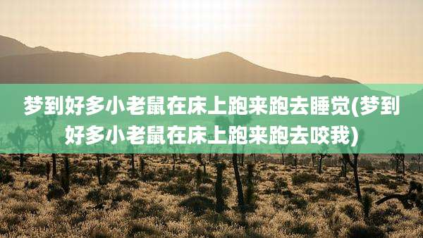 梦到好多小老鼠在床上跑来跑去睡觉(梦到好多小老鼠在床上跑来跑去咬我)