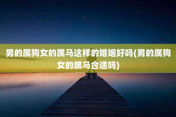 男的属狗女的属马这样的婚姻好吗(男的属狗女的属马合适吗)