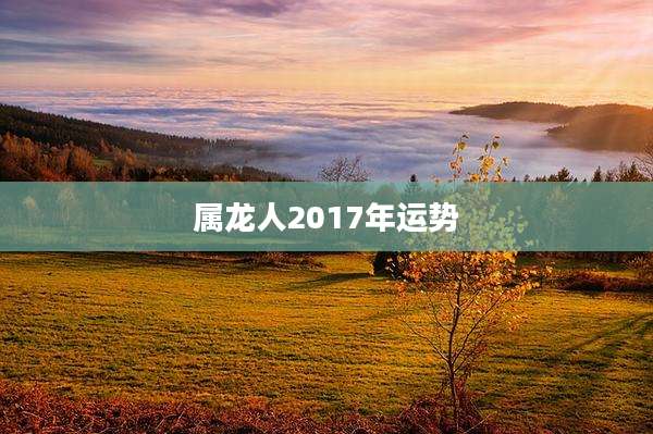 属龙人2017年运势