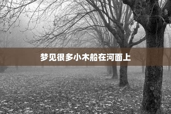 梦见很多小木船在河面上