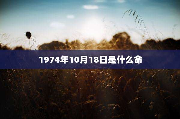 1974年10月18日是什么命