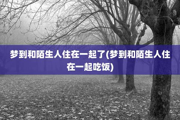 梦到和陌生人住在一起了(梦到和陌生人住在一起吃饭)