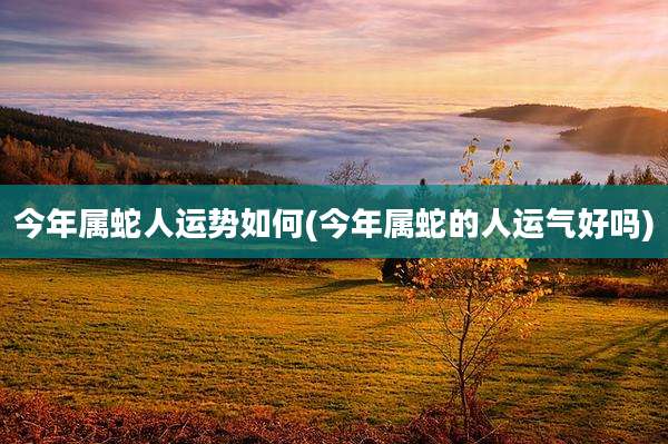 今年属蛇人运势如何(今年属蛇的人运气好吗)