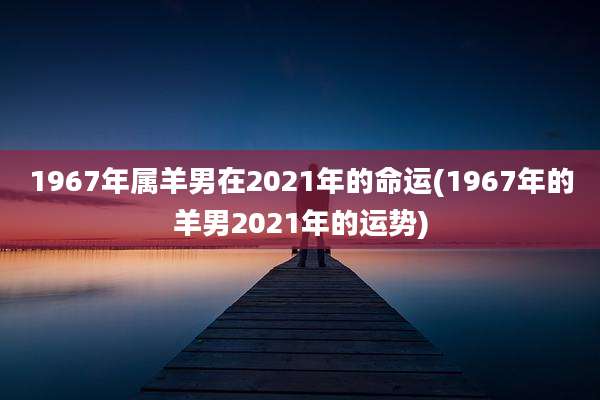 1967年属羊男在2021年的命运(1967年的羊男2021年的运势)