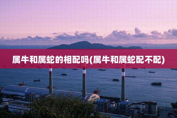 属牛和属蛇的相配吗(属牛和属蛇配不配)