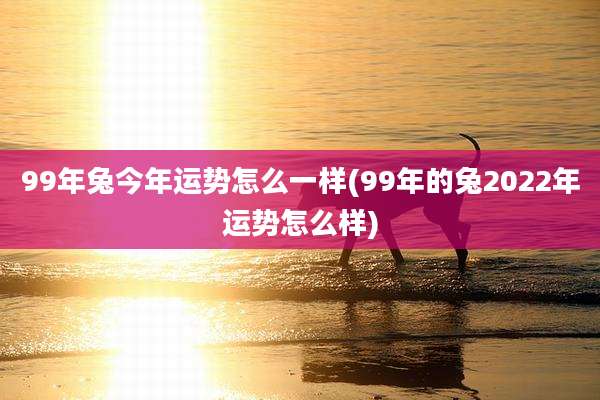 99年兔今年运势怎么一样(99年的兔2022年运势怎么样)