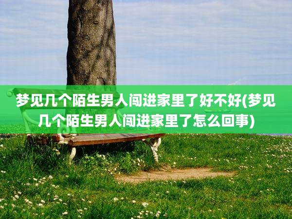 梦见几个陌生男人闯进家里了好不好(梦见几个陌生男人闯进家里了怎么回事)