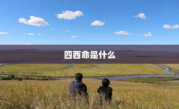 四西命是什么