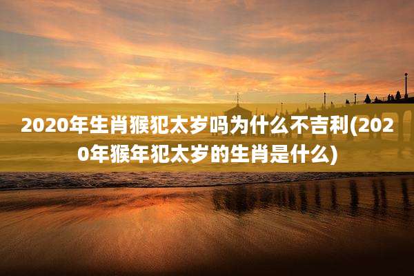2020年生肖猴犯太岁吗为什么不吉利(2020年猴年犯太岁的生肖是什么)