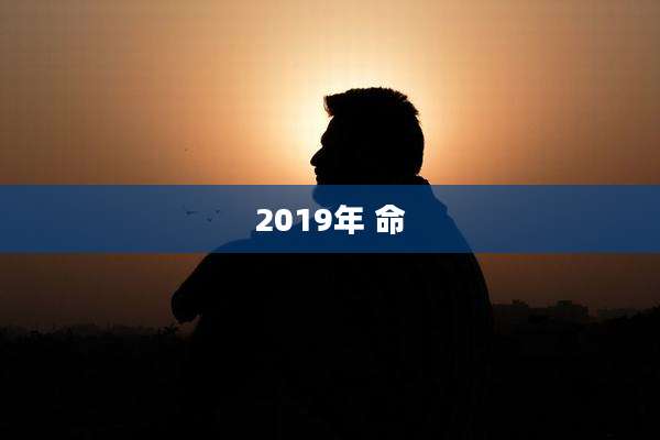 2019年 命