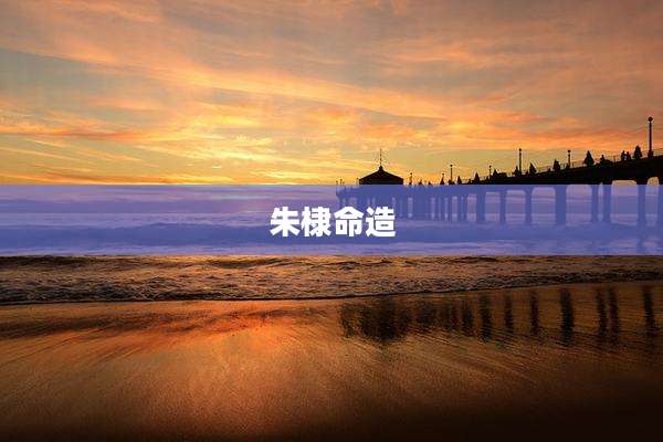 朱棣命造