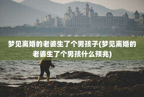 梦见离婚的老婆生了个男孩子(梦见离婚的老婆生了个男孩什么预兆)