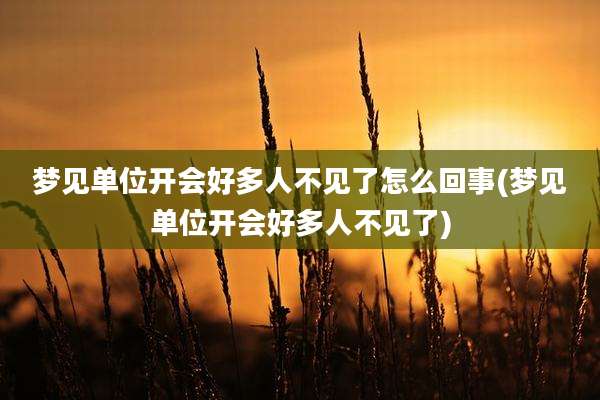 梦见单位开会好多人不见了怎么回事(梦见单位开会好多人不见了)