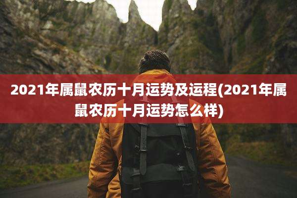 2021年属鼠农历十月运势及运程(2021年属鼠农历十月运势怎么样)