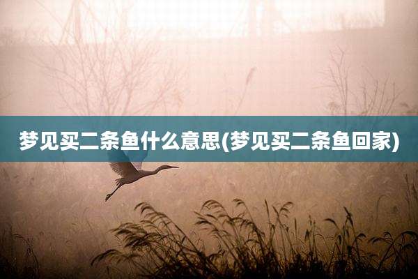 梦见买二条鱼什么意思(梦见买二条鱼回家)