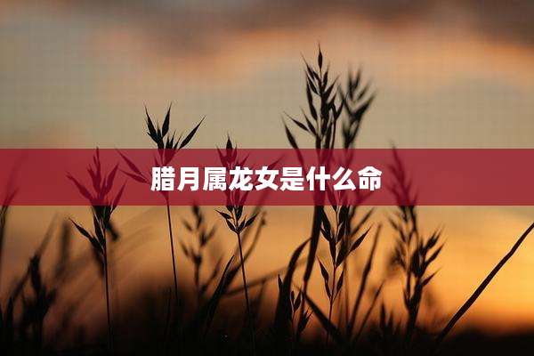 腊月属龙女是什么命
