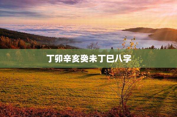 丁卯辛亥癸未丁巳八字