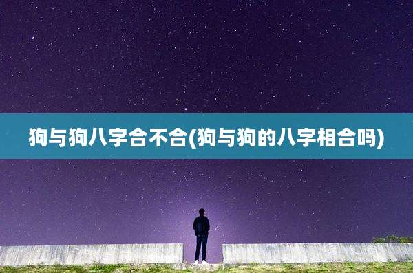 狗与狗八字合不合(狗与狗的八字相合吗)