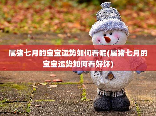 属猪七月的宝宝运势如何看呢(属猪七月的宝宝运势如何看好坏)