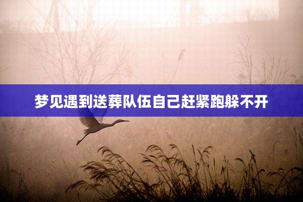 梦见遇到送葬队伍自己赶紧跑躲不开
