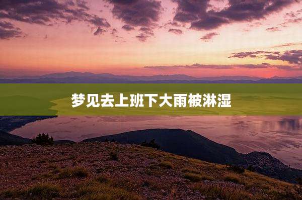 梦见去上班下大雨被淋湿