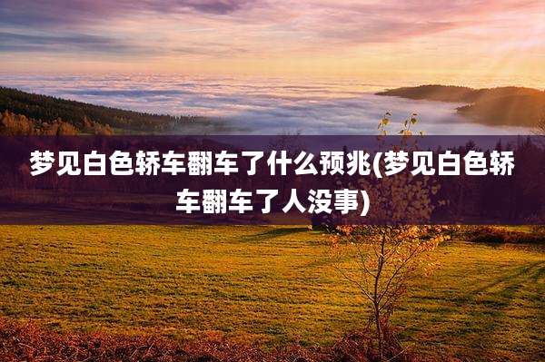 梦见白色轿车翻车了什么预兆(梦见白色轿车翻车了人没事)