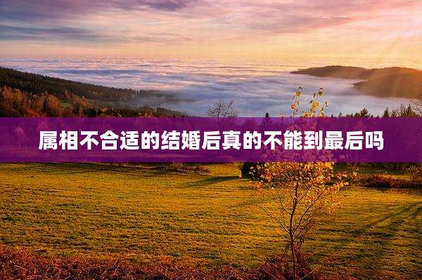 属相不合适的结婚后真的不能到最后吗