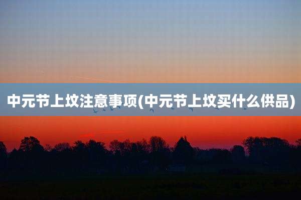 中元节上坟注意事项(中元节上坟买什么供品)