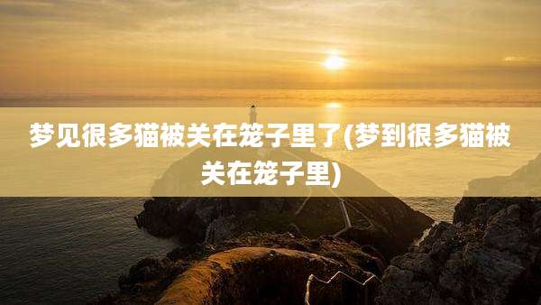 梦见很多猫被关在笼子里了(梦到很多猫被关在笼子里)