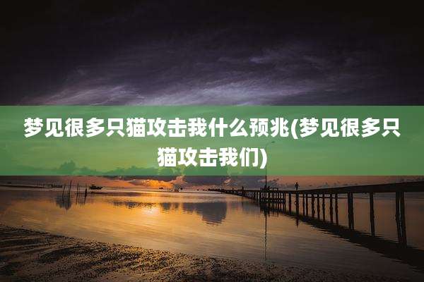 梦见很多只猫攻击我什么预兆(梦见很多只猫攻击我们)