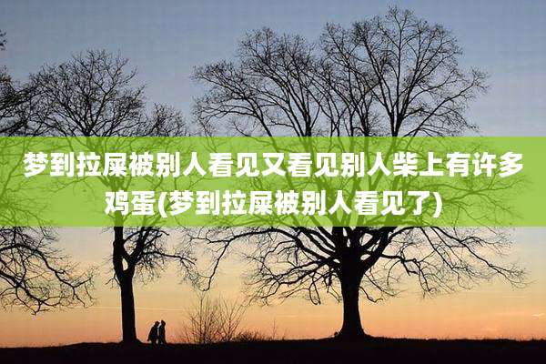 梦到拉屎被别人看见又看见别人柴上有许多鸡蛋(梦到拉屎被别人看见了)