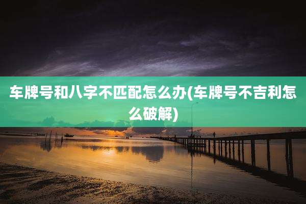 车牌号和八字不匹配怎么办(车牌号不吉利怎么破解)