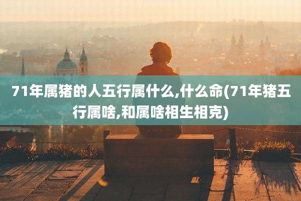 71年属猪的人五行属什么,什么命(71年猪五行属啥,和属啥相生相克)