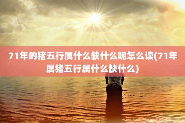 71年的猪五行属什么缺什么呢怎么读(71年属猪五行属什么缺什么)