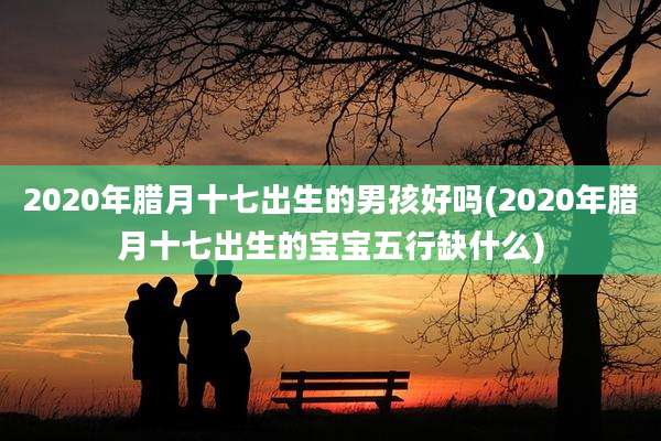 2020年腊月十七出生的男孩好吗(2020年腊月十七出生的宝宝五行缺什么)